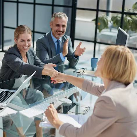 Strategic Consultation “Business Diagnostics”